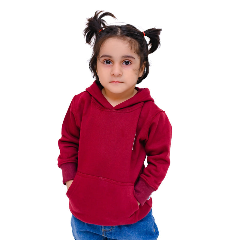 Palestine Hoodie - Maroon