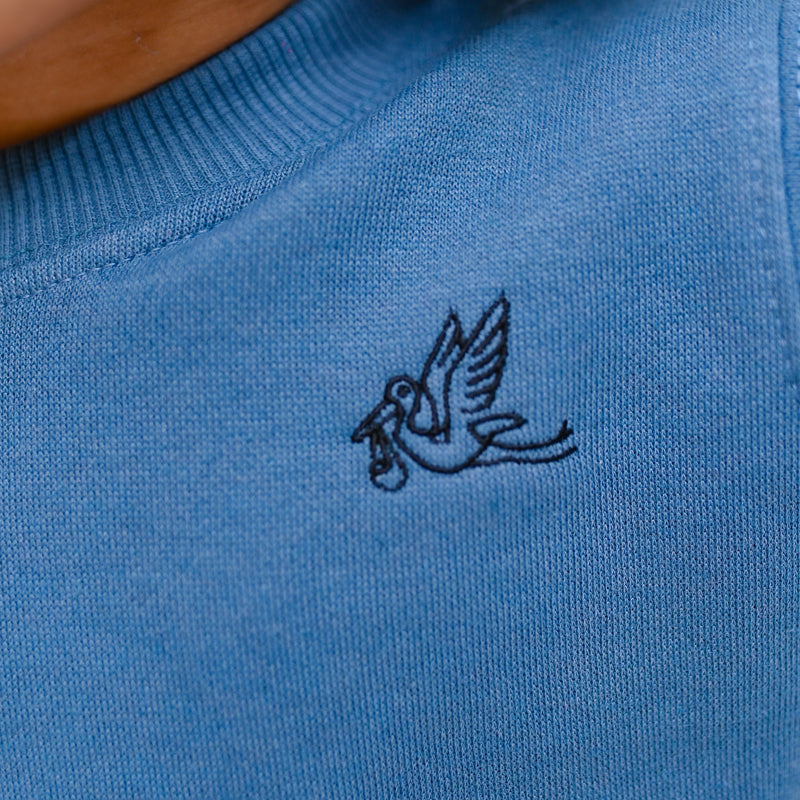 Bluish Gray Sweat Shirt Set