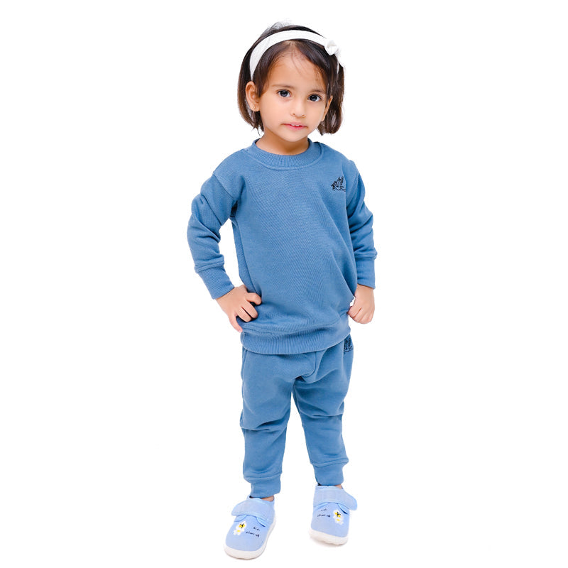 Bluish Gray Sweat Shirt Set