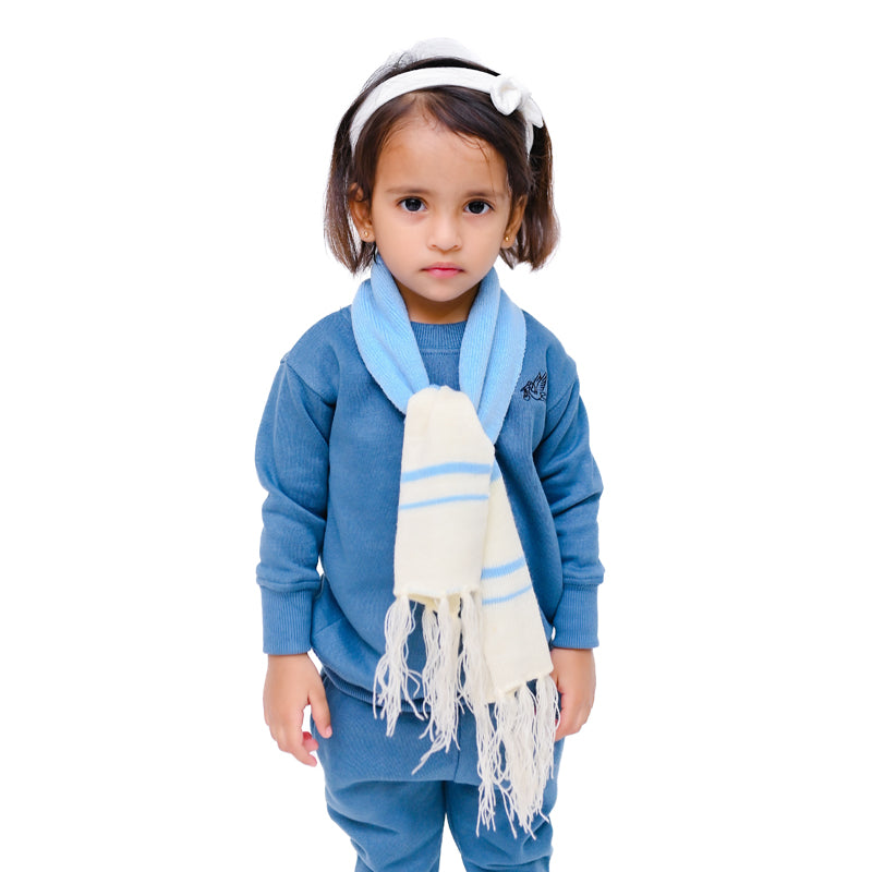 Bluish Gray Sweat Shirt Set