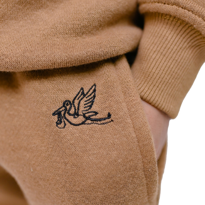 Teddy Brown Sweat Shirt Set