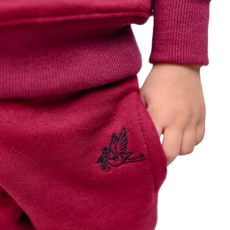 Maroon Sweat Shirt Set