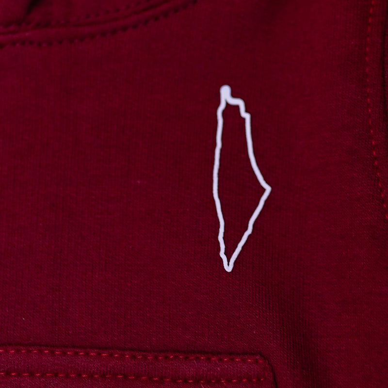 Palestine Hoodie - Maroon