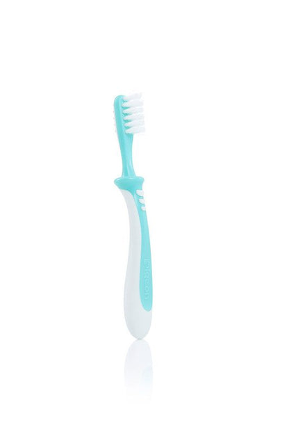 Training Toothbrush Lesson 3 Green