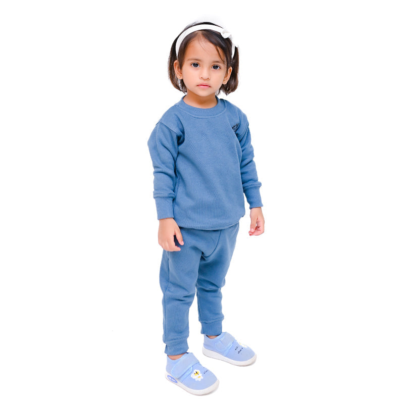Bluish Gray Sweat Shirt Set