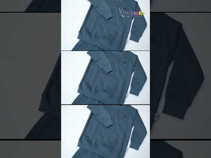Bluish Gray Sweat Shirt Set